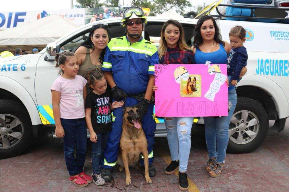 Maya, la rescatista de 4 patas que halló vida entre escombros 6 maya 6