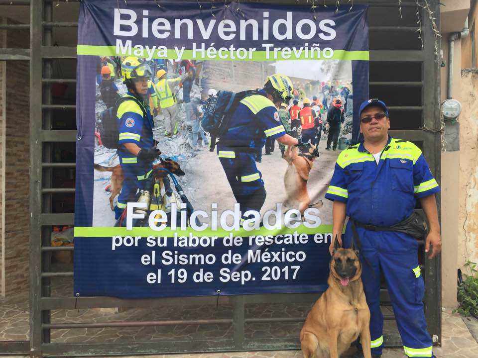 Maya, la rescatista de 4 patas que halló vida entre escombros 5 maya 7