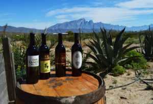 WhatsApp Image 2018 02 21 at 3.51.49 PM