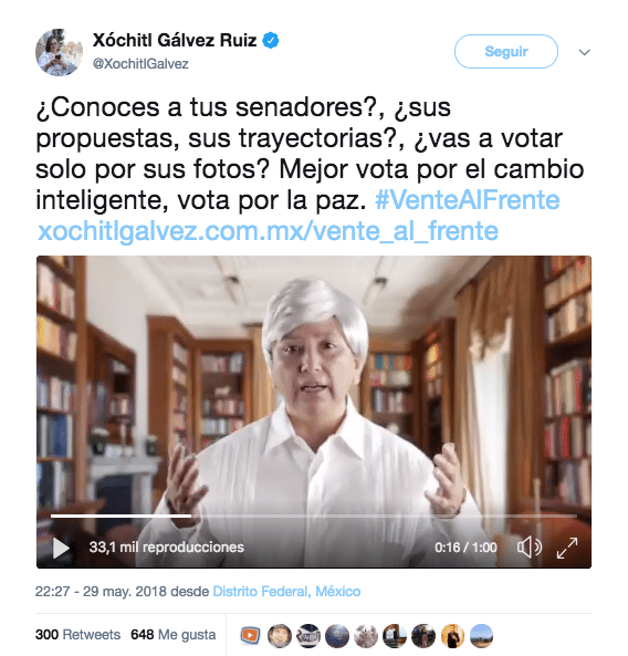 Campañas de perro oso II 3 1