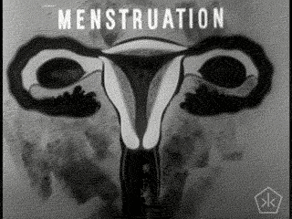 ¿Puede quedar embarazada una mujer durante la menstruación? 2 menstruacion