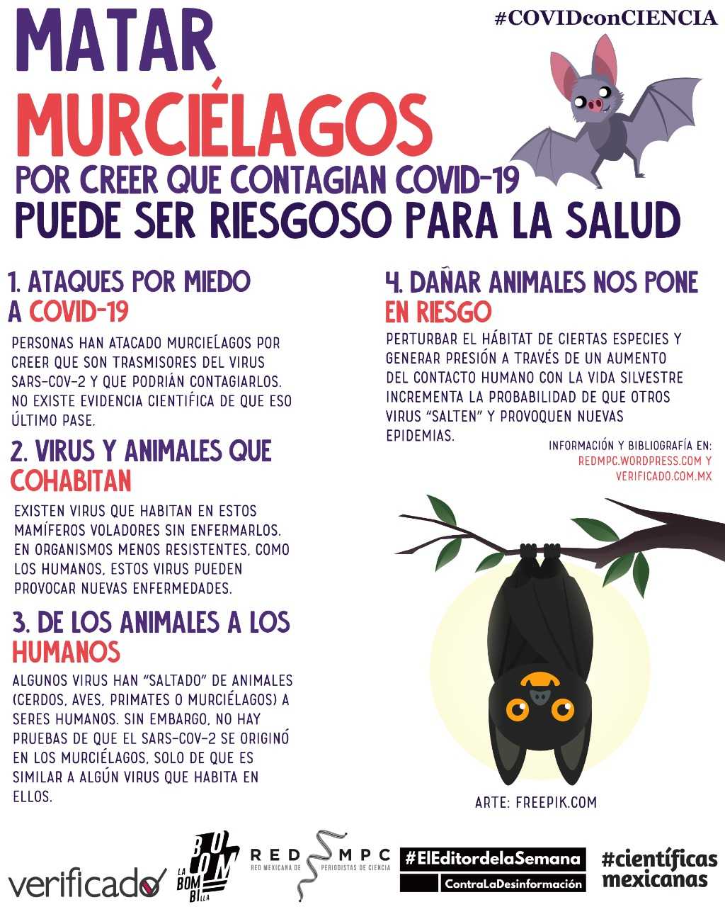 Matar murciélagos por creer que contagian Covid-19 es un riesgo 1 IMG 20200414 WA0003