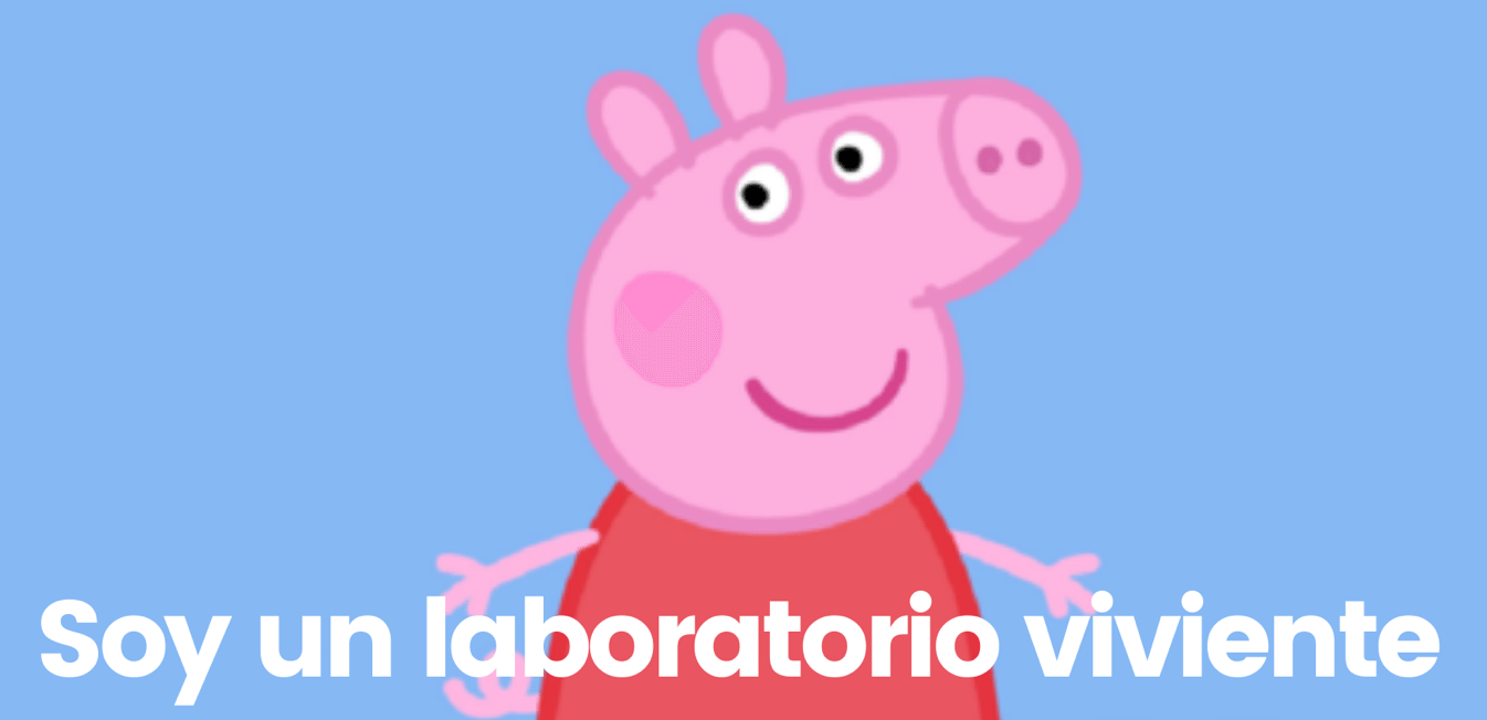 Paren las alarmas: la “nueva gripa porcina” no es una amenaza actual 2 gripe porcina
