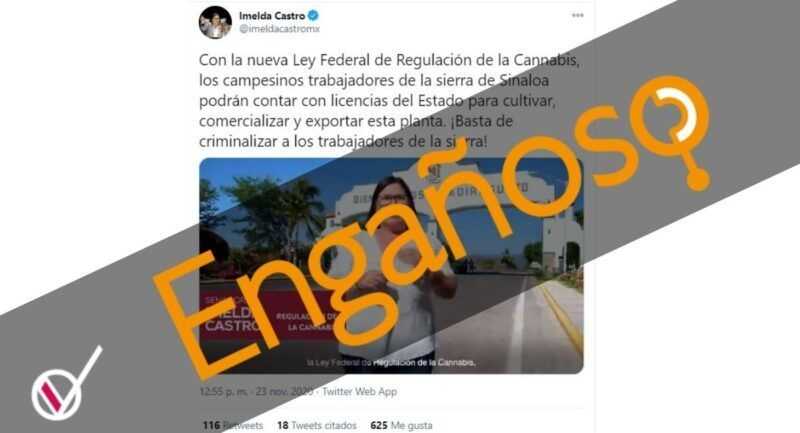 Engañoso que ya exista ley para regular cannabis como dice senadora 1 Mariguana Enganoso 1