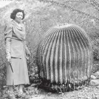 Figura 1 Helia Bravo Hollis Fotografia tomada junto a un Echinocactus Platyacanthus a Q320