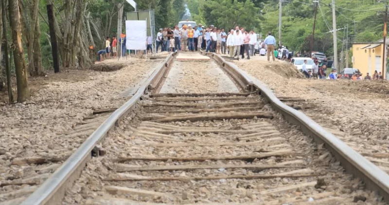 Verificado Explica: Datos sobre el impacto del Tren Maya 2 cuartoscuro 683278 digital