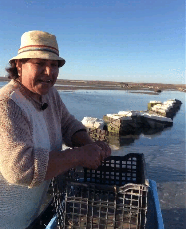 Mari Esther Tanori Zepeda presidenta de la Cooperativa Unica de Mujeres Ostricolas CUMO en Puerto Penasco Sonora. Foto Cortesia CUMO.