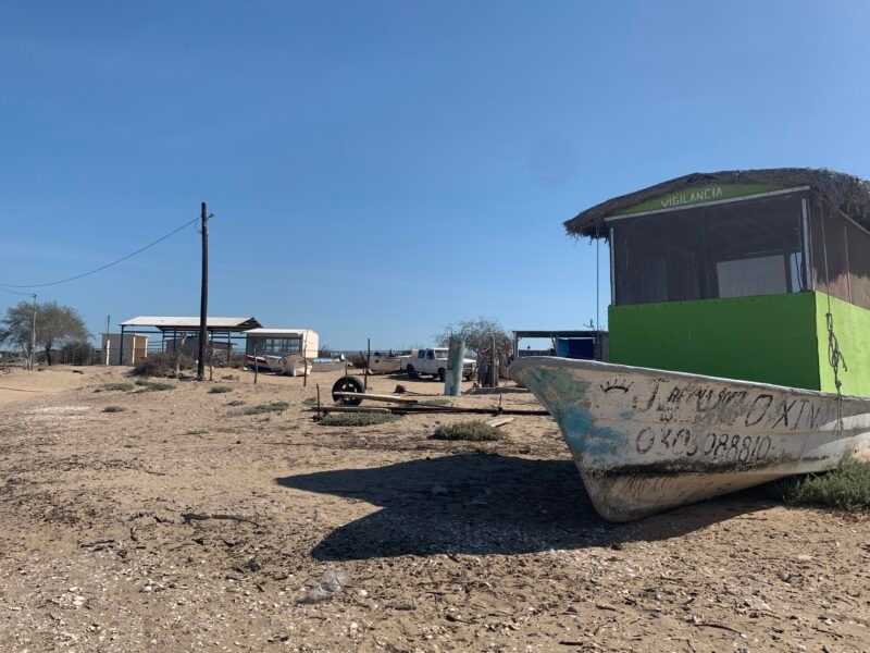 San Buto B.C.S. Foto Gilberto Santiesteban 1