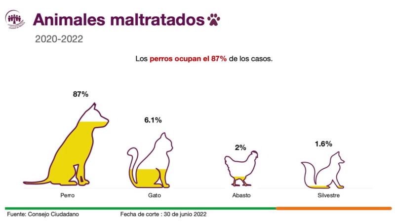 294943729 10159957618048718 5042348978012320970 n