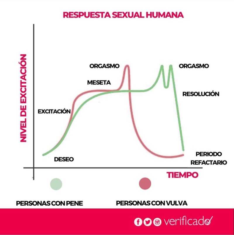 Grafica respuesta sexual orgasmo