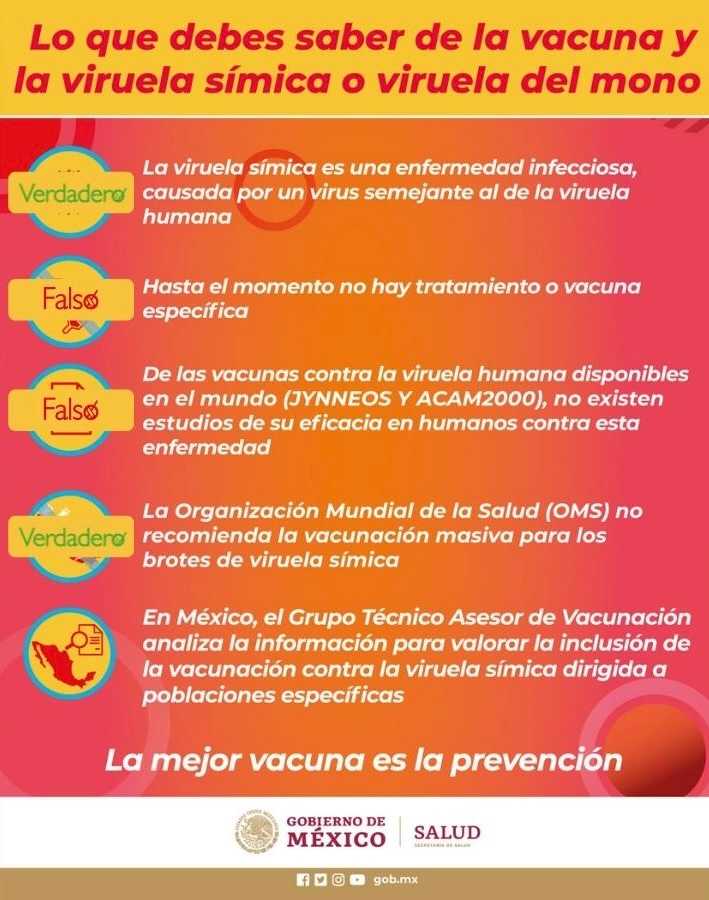 México rebasa 3 mil casos de viruela símica, colectivos encabezan campañas de prevención 2 Viruela Símica