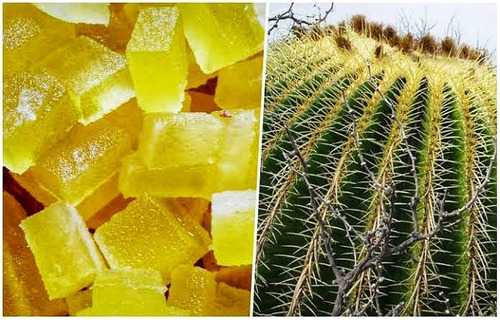 El acitrón en las roscas de Reyes: el producto prohibido 4 acitrón