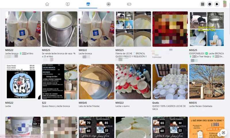 No, no es buena idea tomar leche sin pasteurizar 3 WhatsApp Image 2023 03 07 at 12.32.00 PM