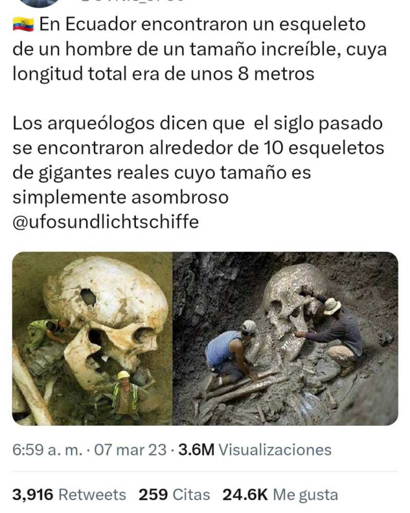 WhatsApp Image 2023 03 08 at 12.18.17 PM