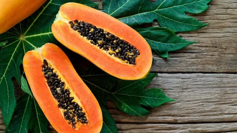 hoja de papaya crop1629404480713.jpeg 1217713605