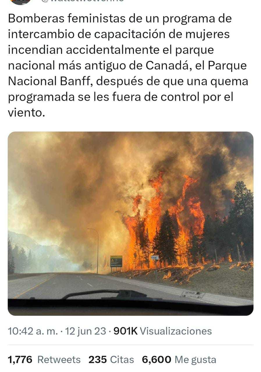 Imagen de WhatsApp 2023 06 12 a las 16.02.34