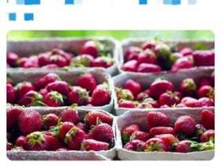 Desinformación por fresas con hepatitis A 1 Imagen de WhatsApp 2023 06 22 a las 17.20.36