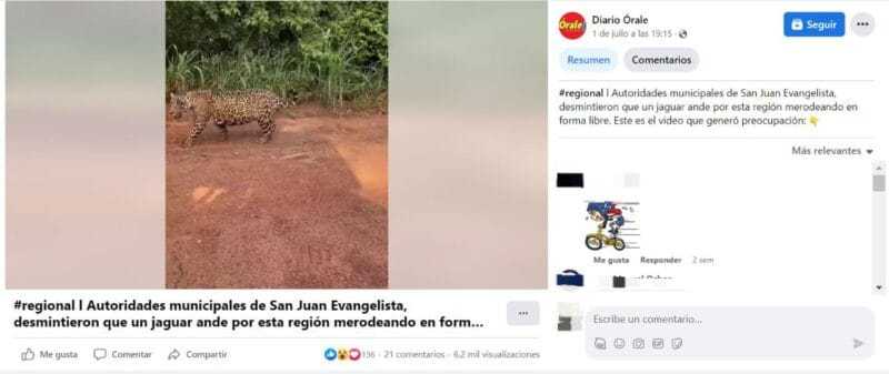 Imagen de WhatsApp 2023 07 20 a las 17.08.24