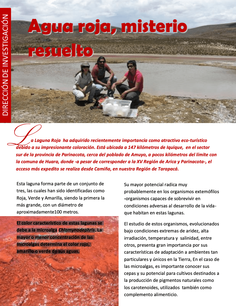 Captura de pantalla 2023 11 17 a las 5.25.05 p.m