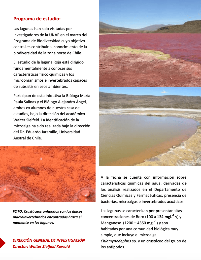 Captura de pantalla 2023 11 17 a las 5.25.11 p.m