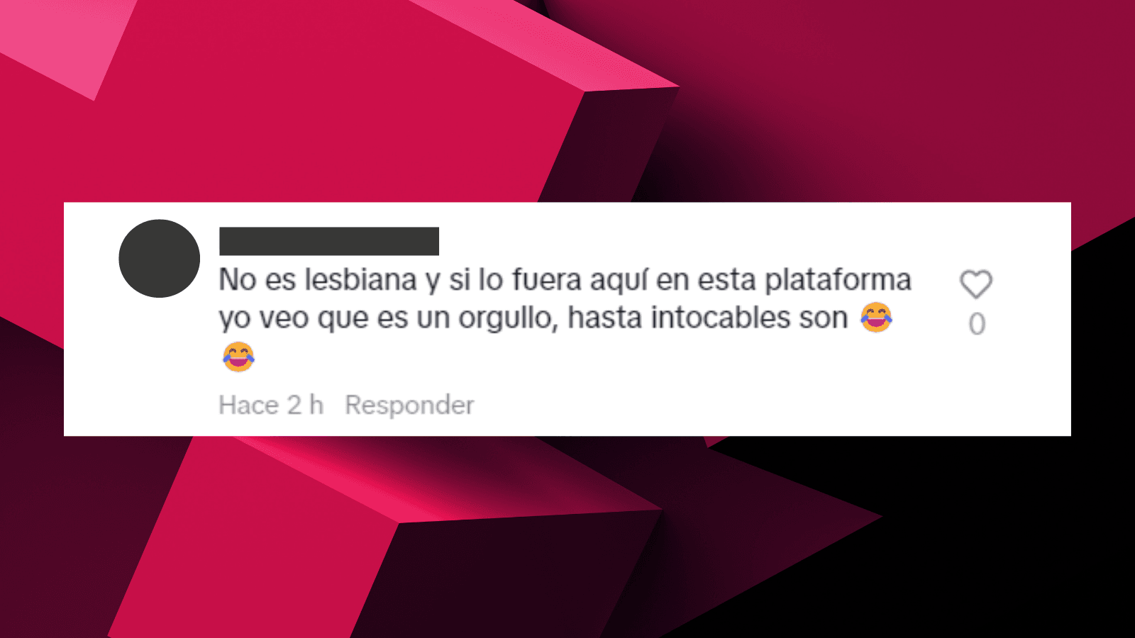 Popularizan en Tiktok foto de Claudia Sheinbaum con propósitos LGBTodiantes 8 26