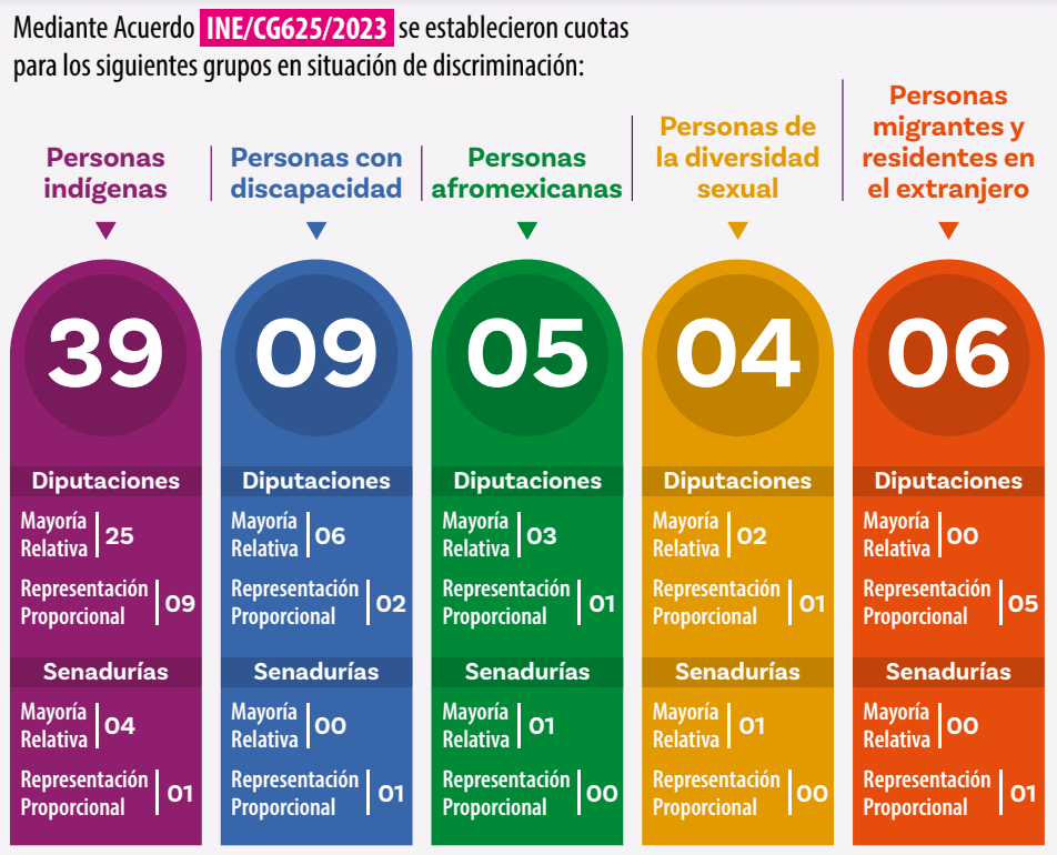 Acciones afirmativas: qué son y qué papel juegan en el proceso electoral 2 capture 20240320191514229