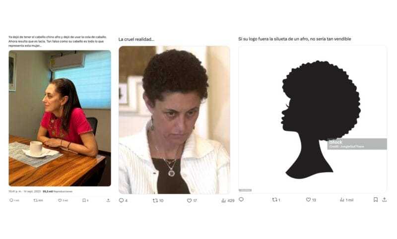 Guadalupe Loaeza: sus textos con violencia estética y desinformación racista 2 capturas