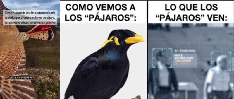 “Los pájaros no existen” es un movimiento parodia de las teorías de la conspiración nacido en Estados Unidos en 2017 que afirma que el Gobierno sustituyó los pájaros por drones de vigilancia. La creó Peter McIndoe como sátira del “partidismo radical” de su país.