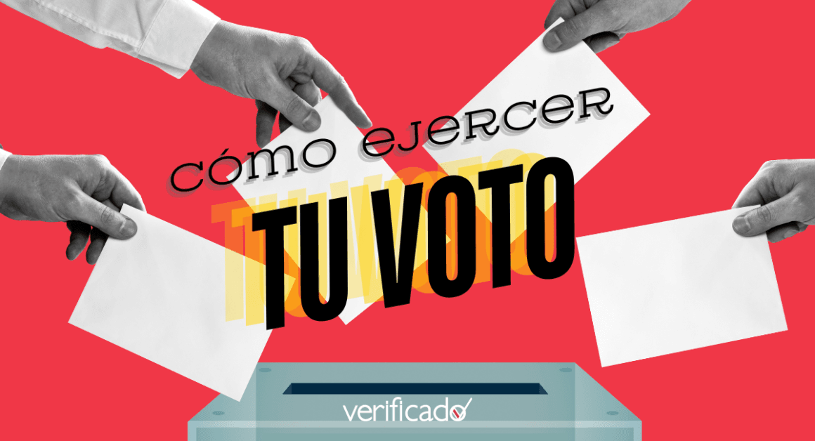 Cómo votar en las elecciones 2024: paso a paso