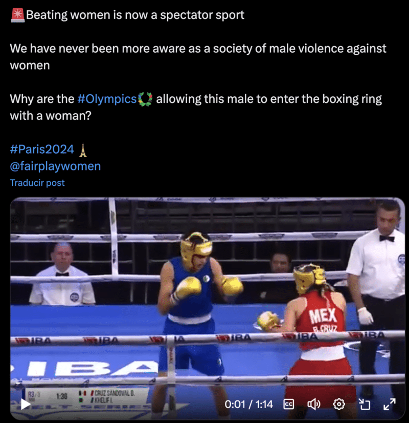 Captura de pantalla 2024 07 31 a las 15.17.19