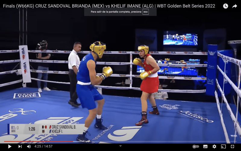 Captura de pantalla 2024 07 31 a las 15.19.09