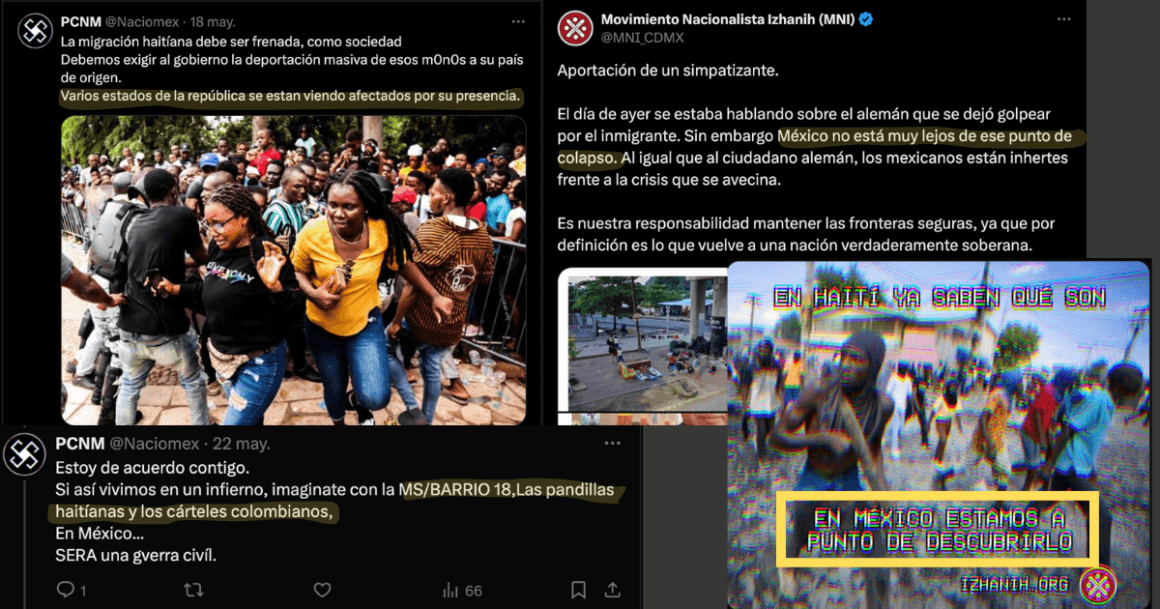 Desinformación, odio y la amenaza del nacionalismo mexicano en redes sociales 10 IMAGEN 8
