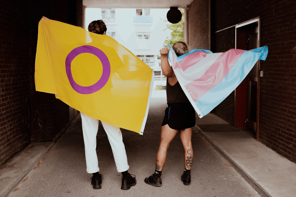 trans nb e1721970863586