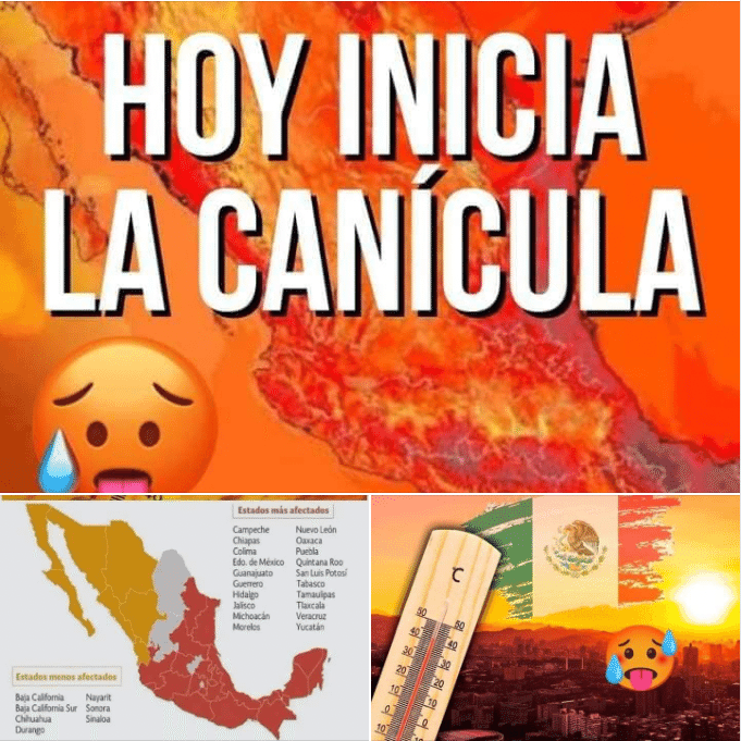 Captura de pantalla 2024 08 09 a las 3.07.16 p.m e1723239811476