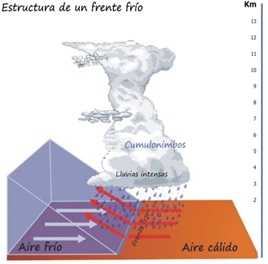 Falso que México espere un vórtice polar inestable 3 Gráfico sobre cómo es un frente fríoFuente: CENAPRED