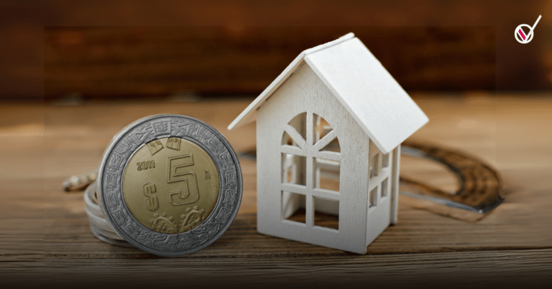 BULOS 2024 10 04T191026.505