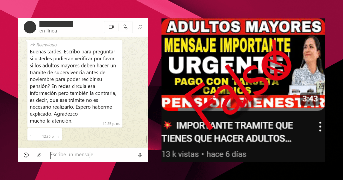 BULOS 3 1