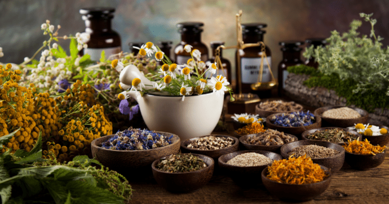 Falso que los tumores sea "bolsitas de toxinas" y que las biopsias los diseminen 2 Herbolaria antitumoral no reemplaza terapia