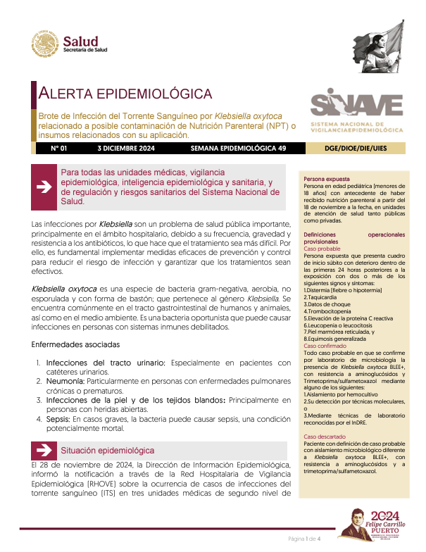 Captura de pantalla 2024 12 09 174337