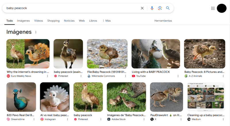 Captura de pantalla 2025 02 24 152056