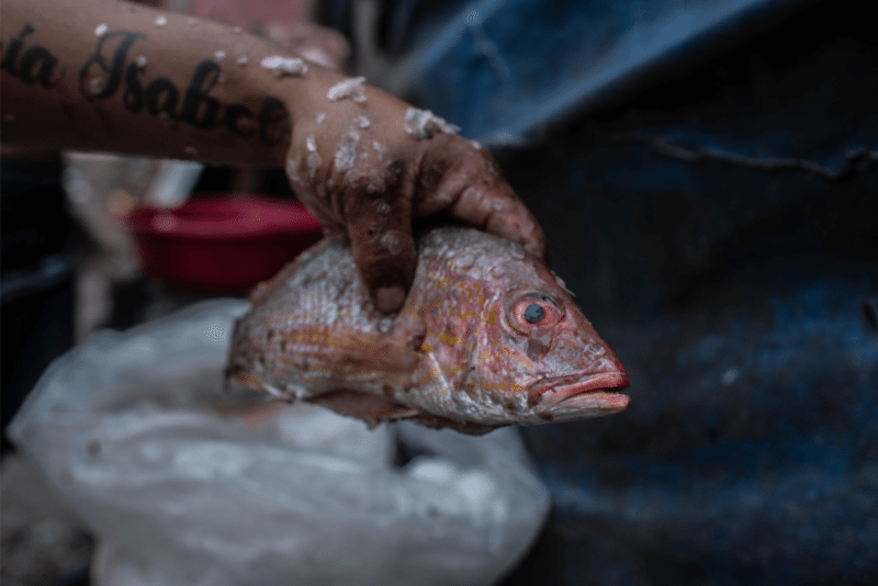 Diseno sin titulo 100