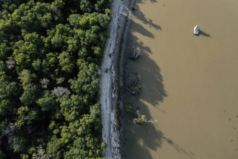 Diseno sin titulo 2025 02 21T165840.272