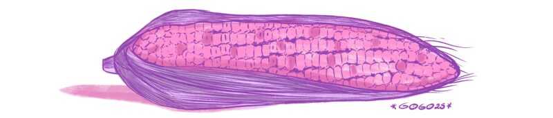 maiz, hogar mujeres independencia