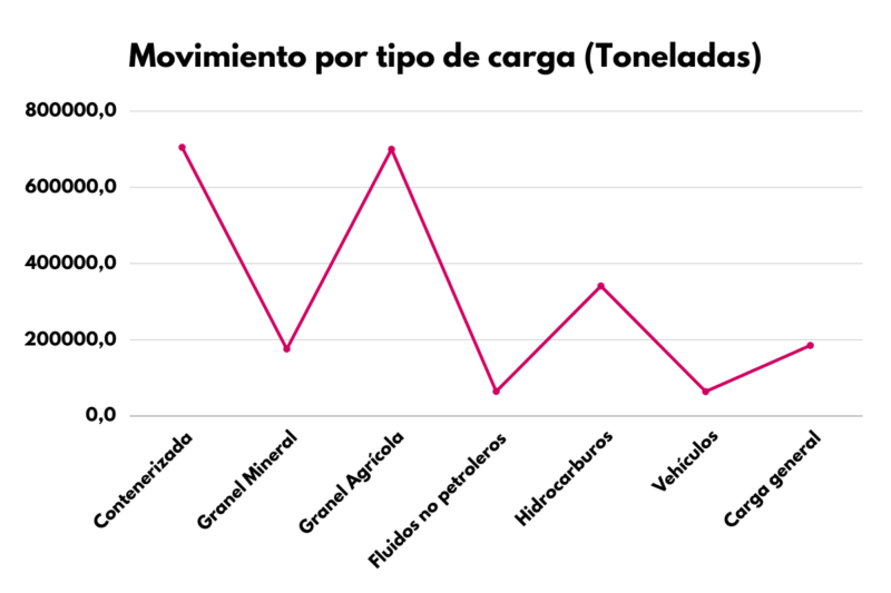 Movimientos en el Puerto de Veracruz por tipo de carga