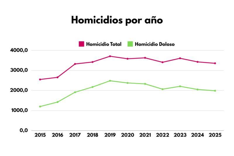 Homicidios por año 