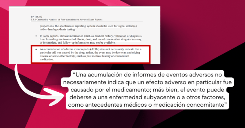 Circula lista falsa sobre los efectos de la vacuna Pfizer 2 Documento de pfizer