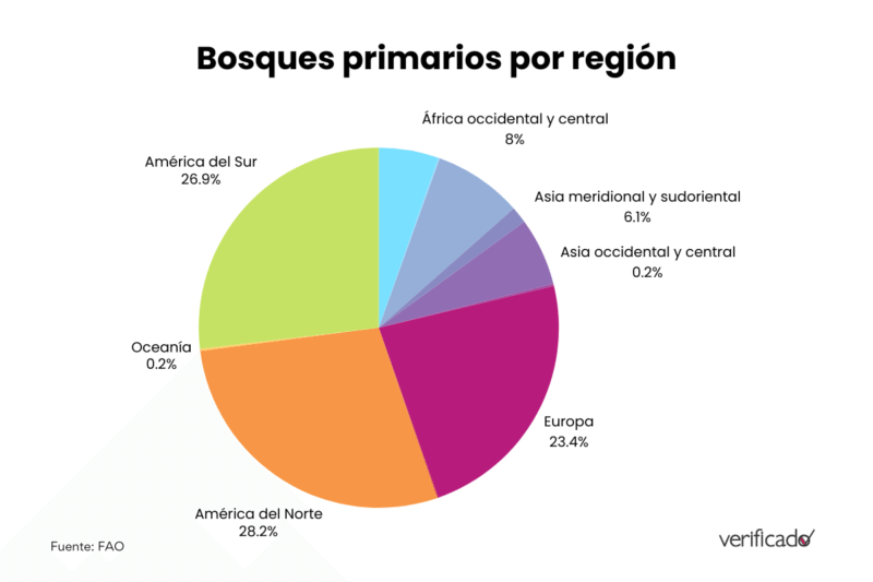 Bosques primarios por región