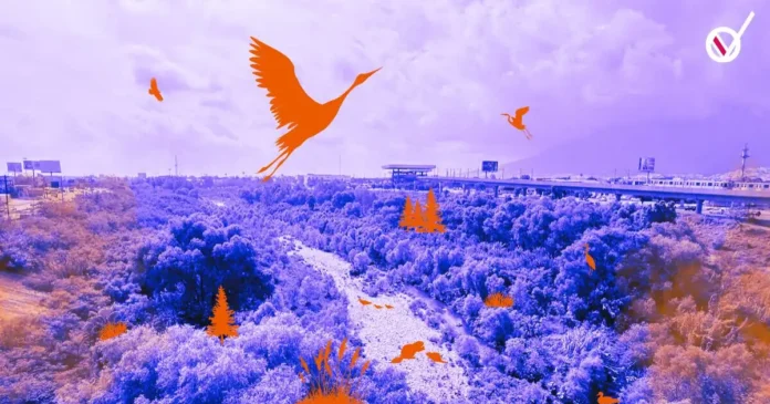 No se construyeron columnas, se construyó comunidad en defensa del río y la ciudad