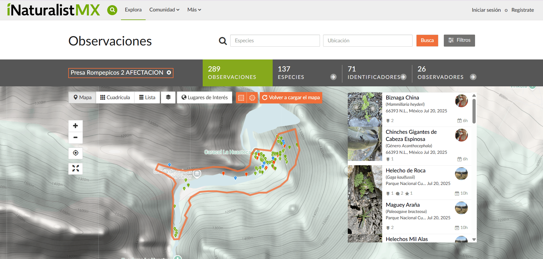 Screenshot 2025 07 23 165027