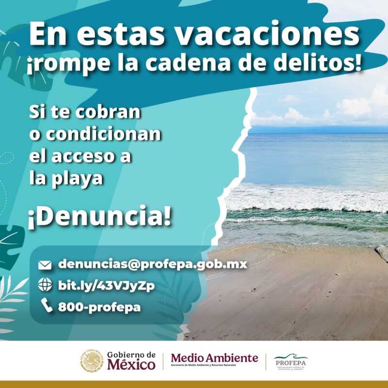 tulum-alimentos-playa-falso